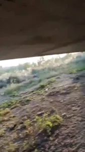 【雨哥原创】阿姨户外约炮草逼给我看，上帝视角老骚逼