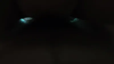 交往一年多情人的库存