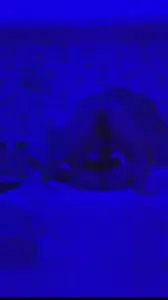 约操人妻，粘着逼水吃鸡巴。让她吃自己的淫水。