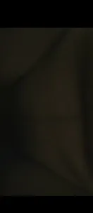 长春寻固(简介联系)