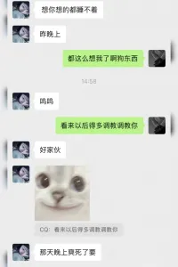 SMk9犬化调教(3)附加聊天记录