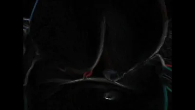 母狗—全自动榨汁机