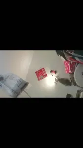 丹夫人系列之挑战尿道调教 2