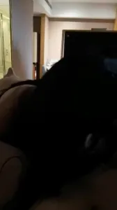 029西安没有睡醒就被口醒