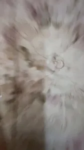 05艺术学妹沙发后入啪啪