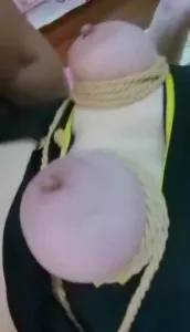 丹夫人系列之被虐奶虐逼的快乐享受合集 1