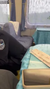 在火车上小母狗就忍不住给我口起来 母狗越调教越乖