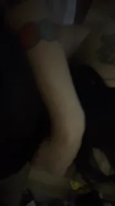 母狗认真吃鸡巴