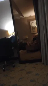 深圳 粤b打桩蜂腰翘臀