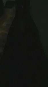 老婆丝袜验证申请论坛