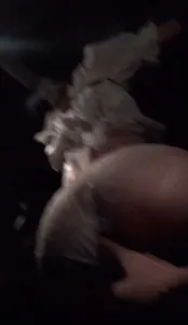 029 西安咸阳交流交流