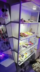 丹夫人系列之工作室