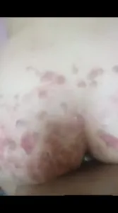 皮鞭调教人妻骚母狗,肛塞滴蜡后入真刺激